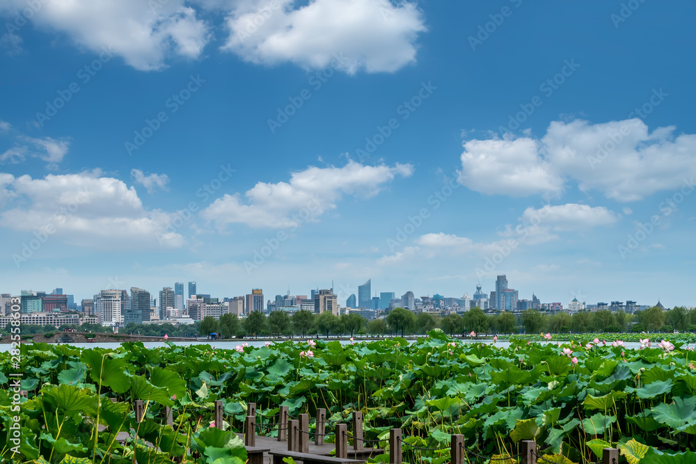 杭州西湖景观与建筑景观……