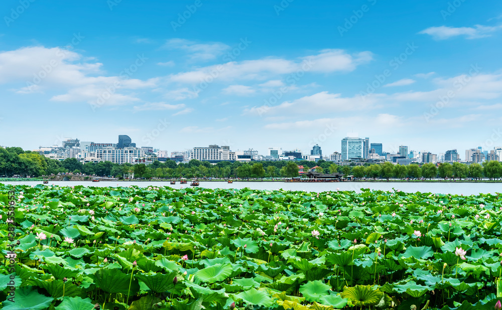 杭州西湖景观与建筑景观……