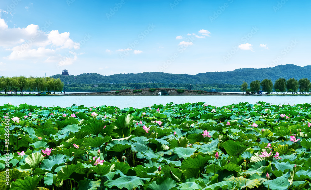 杭州西湖景观与建筑景观……