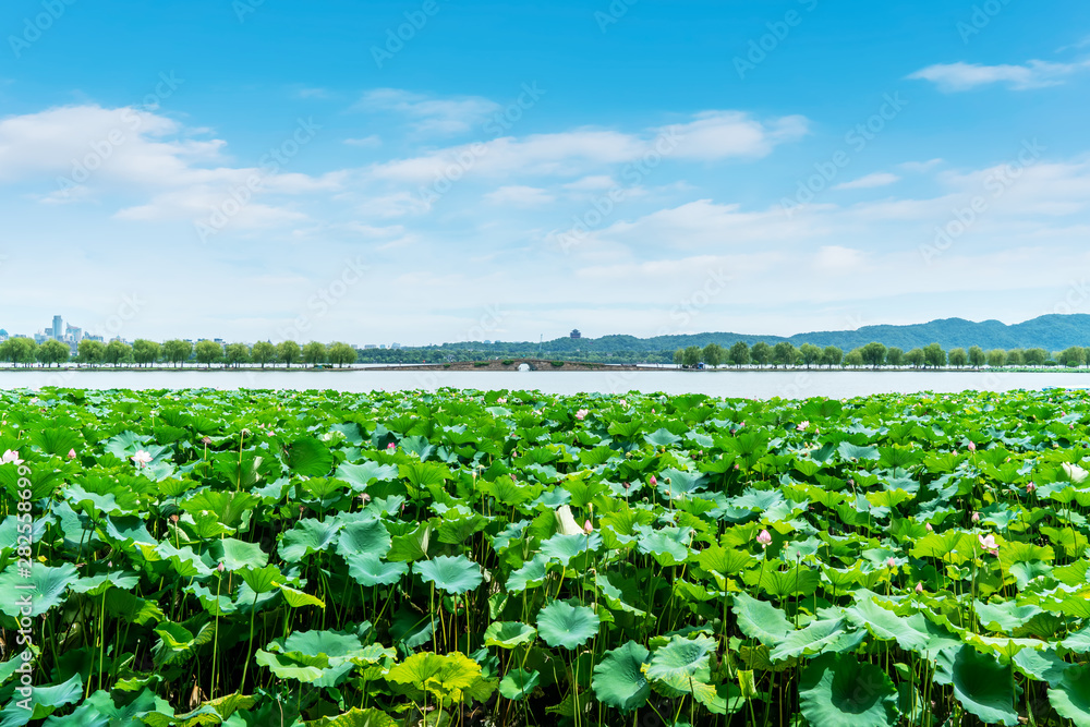 杭州西湖景观与建筑景观……