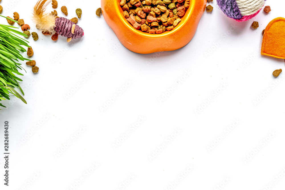 dry cat food in bowl on white background top view