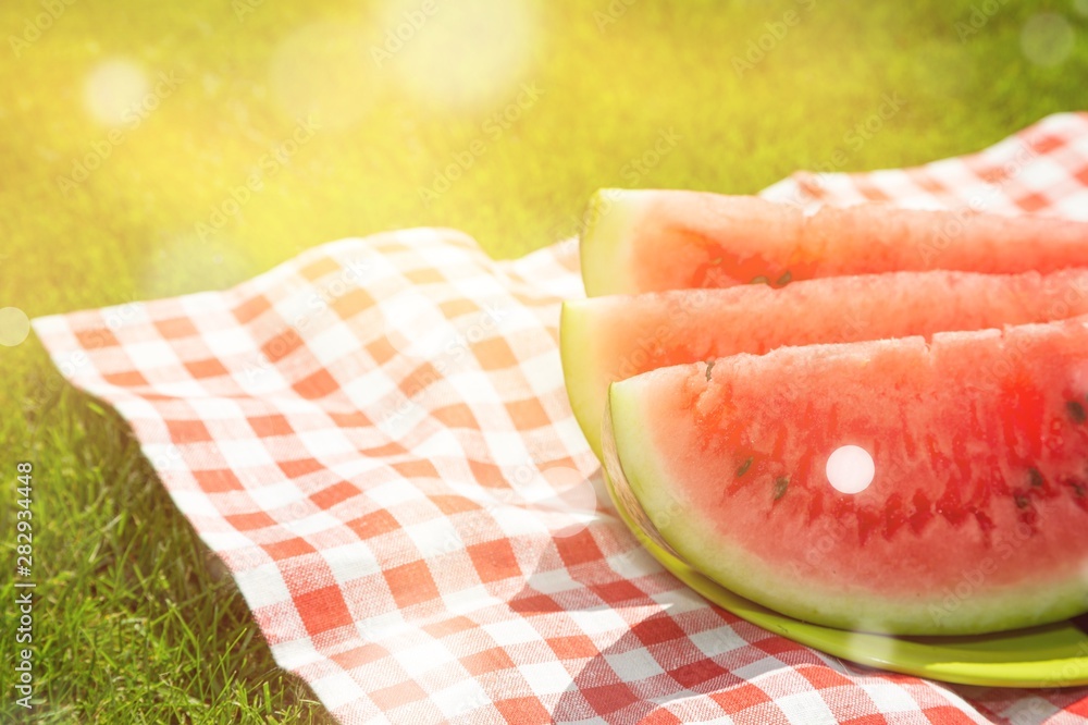 Watermelon Slices on Plate on Picnic Blanket