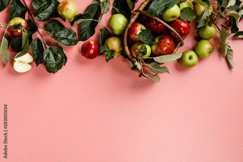 Flat-lay of fresh apples with leaves and branches on pink background