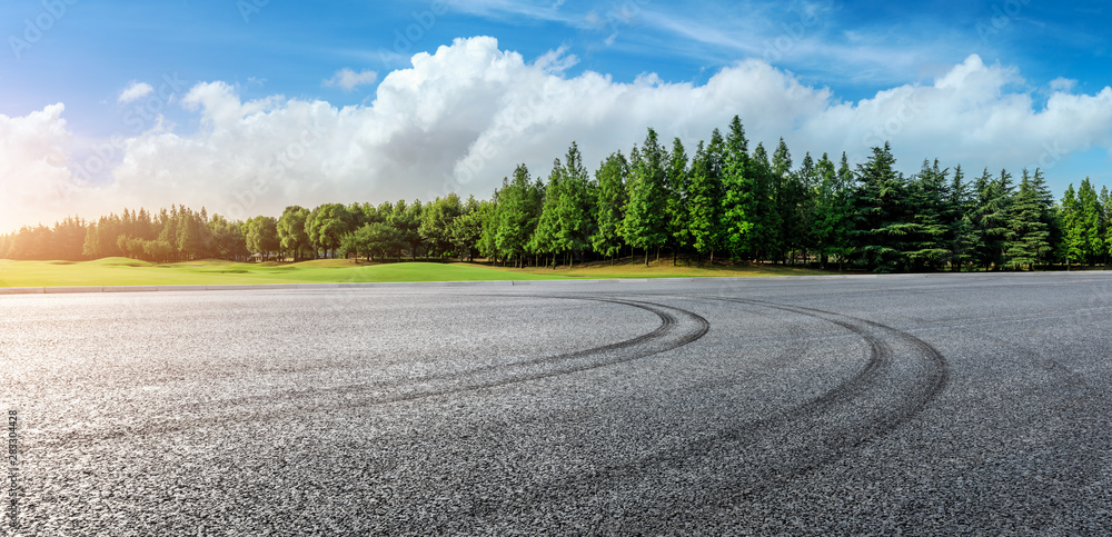 Asphalt race track and green woods nature landscape in summer