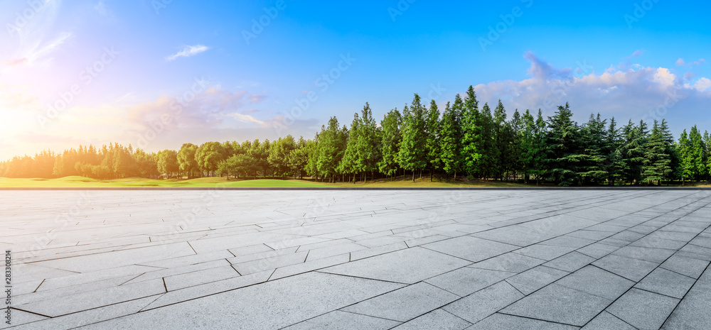 城市公园里空旷的广场和绿树成荫的自然风光