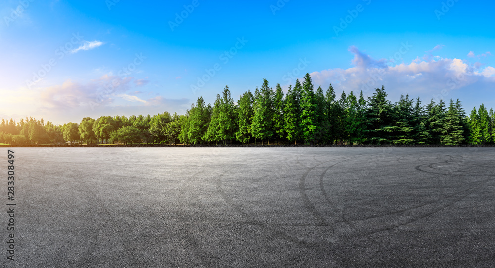 Asphalt race track and green woods nature landscape at sunset