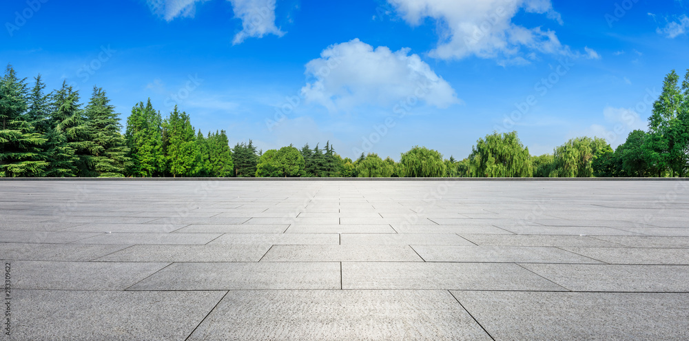 城市公园里空旷的广场和绿树成荫的自然风光