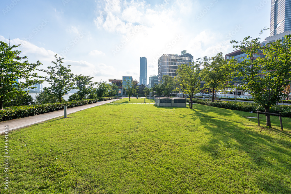 中国上海城市天际线的绿色草坪