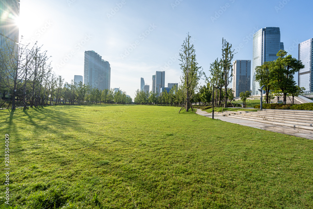 中国杭州城市天际线的绿色草坪