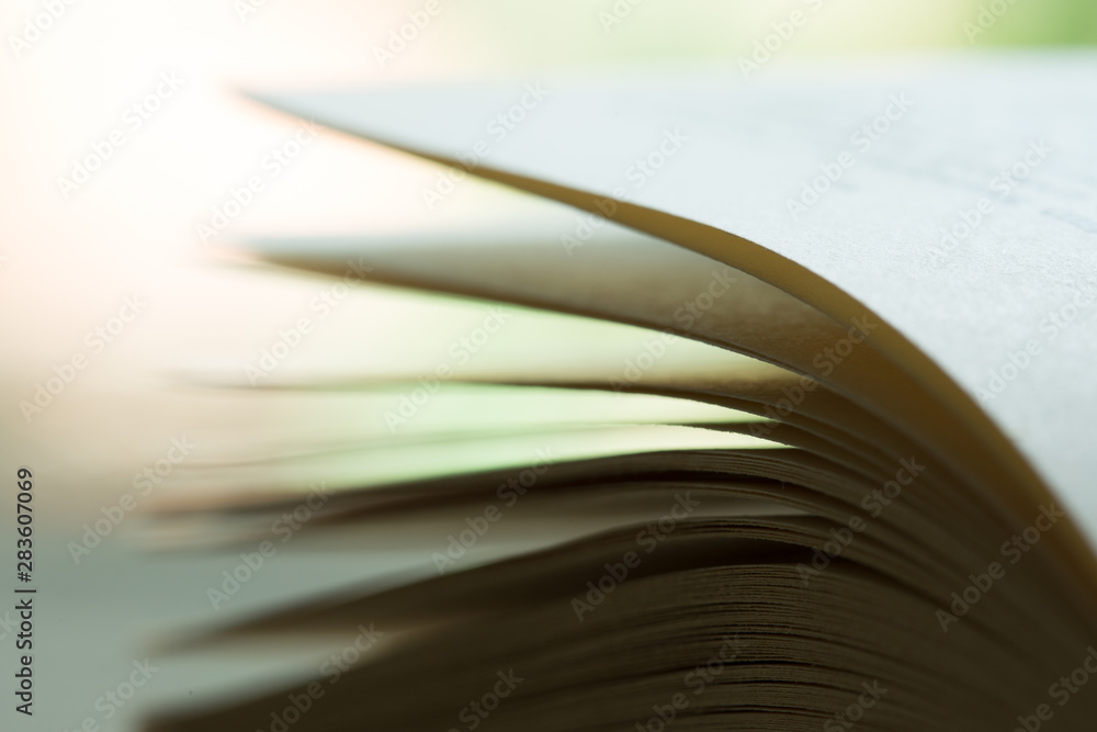 Macro view of book pages, green summer background, education and reading concept