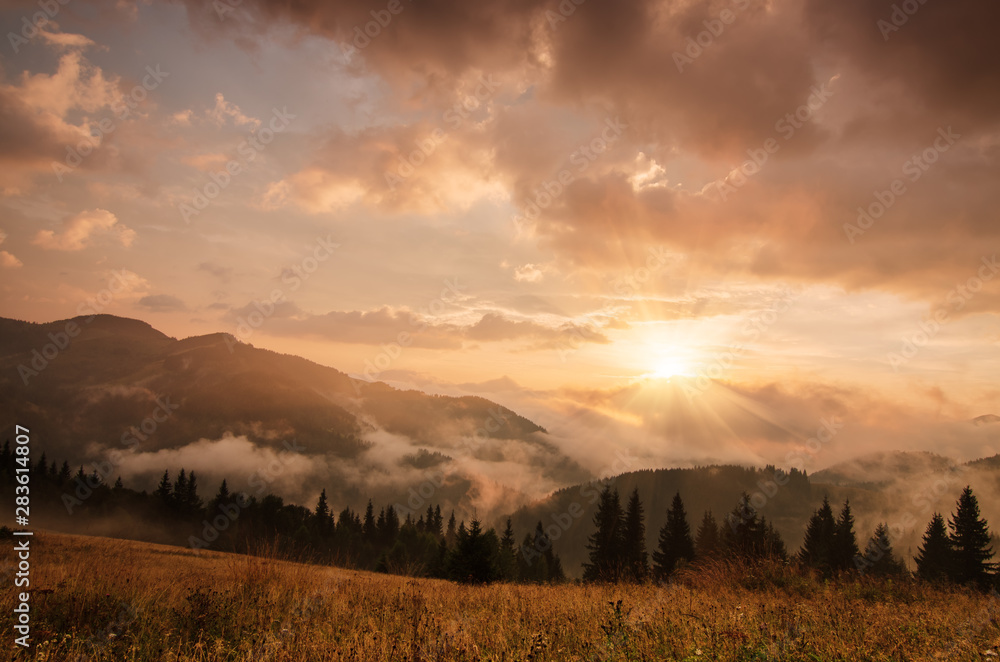 Foggy morning landscape