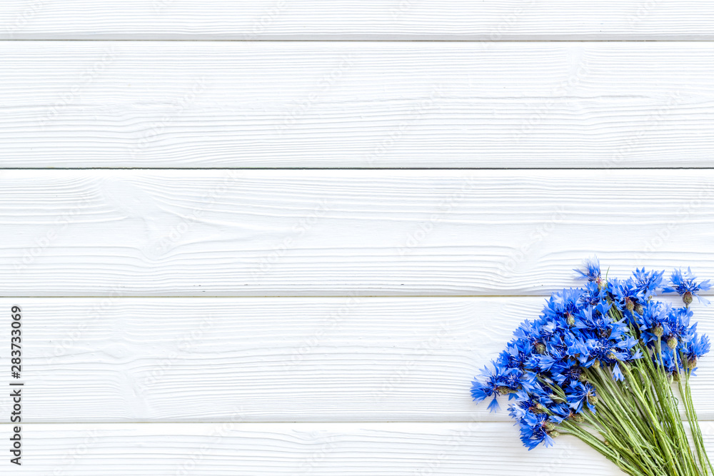 Blue cornflowers for floral design on white wooden background top view mockup