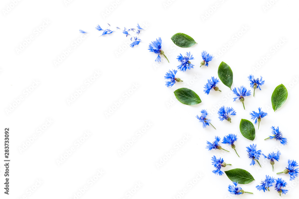 Field flowers design with blue cornflowers on white background top view mockup