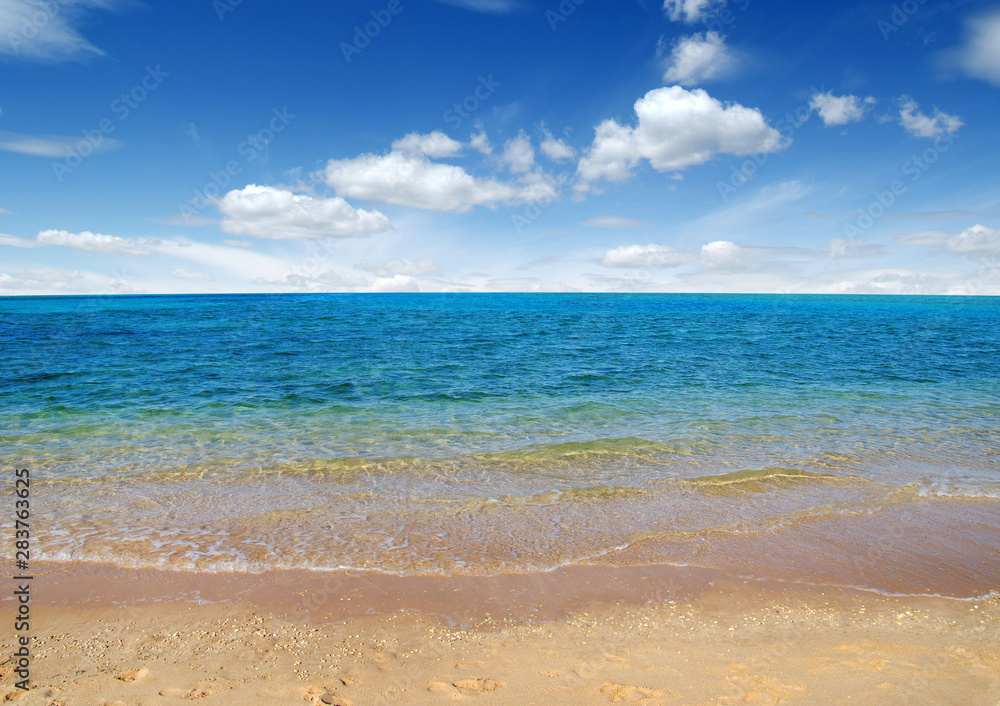  beach and tropical sea