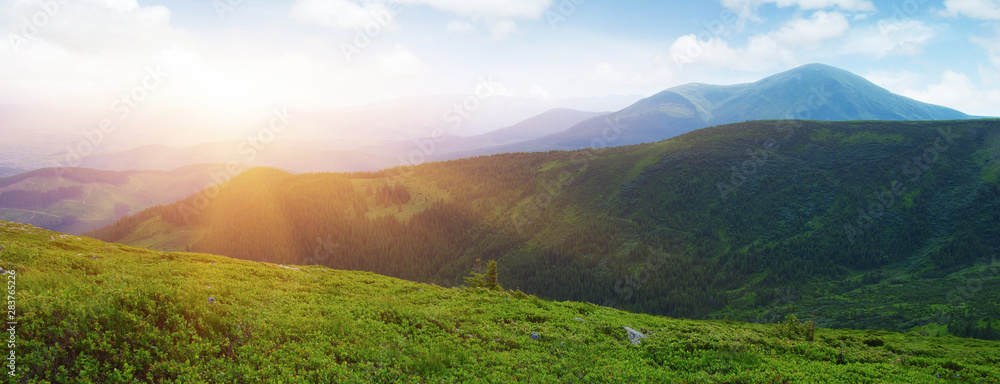 夏日山景