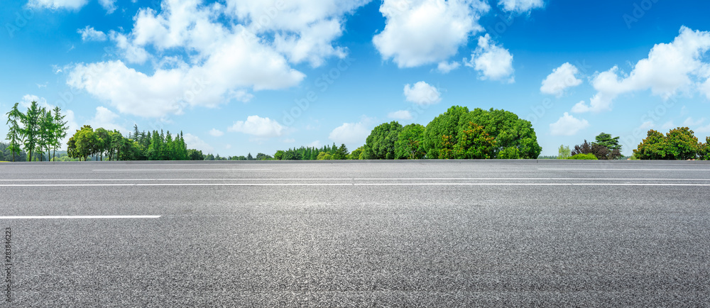 Country road and green woods nature landscape in summer