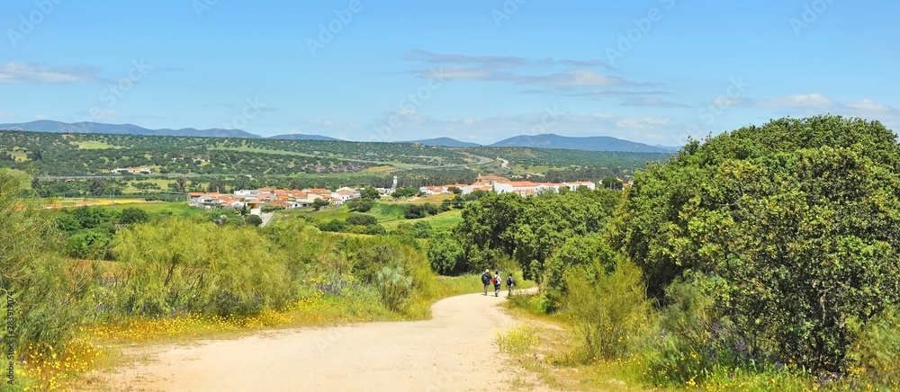 Arrival of pilgrims to Aljucén village in the Way to Santiago (Via de la Plata) at province of Badaj