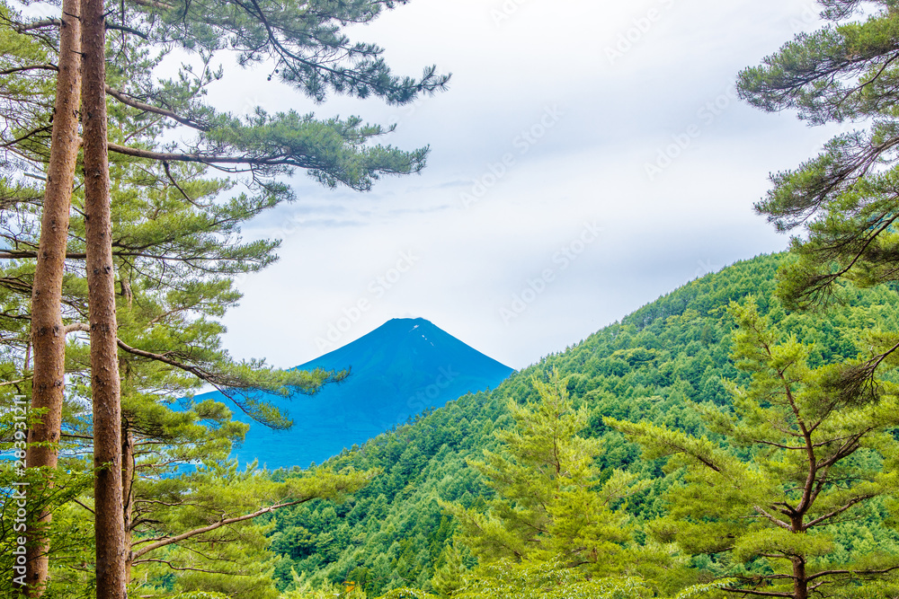 山奥の林の隙間から見える富士山