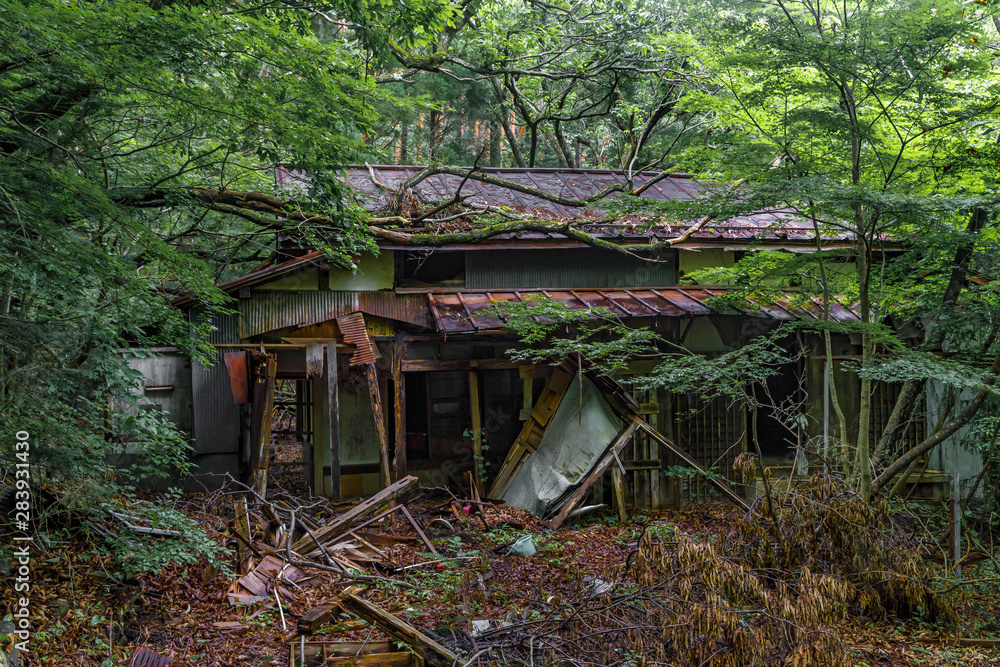 山奥の壊れた一軒家