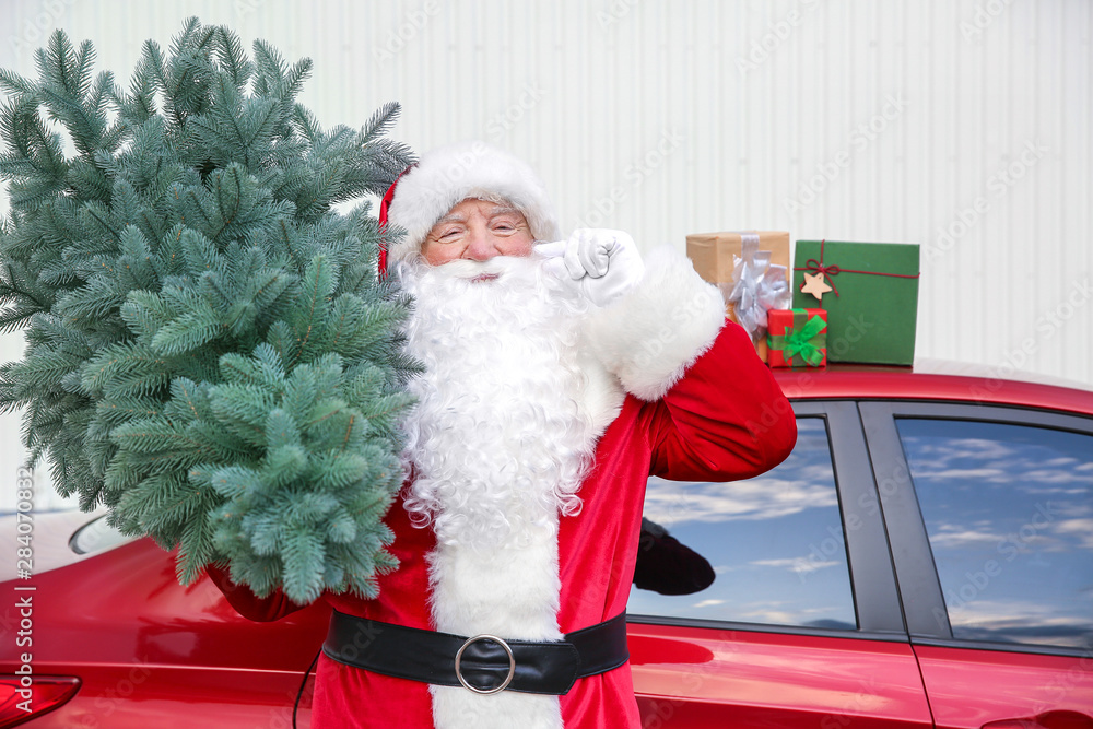 Santa Claus with fir tree near car outdoors