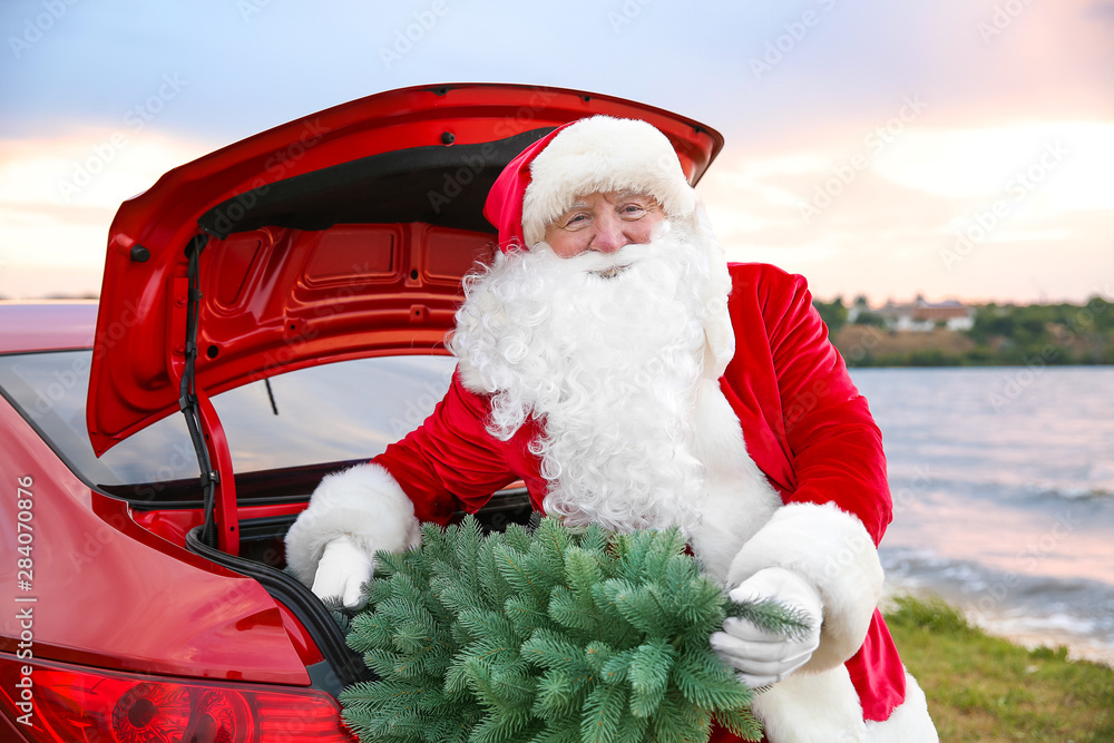 Santa Claus with fir tree in car trunk on riverside