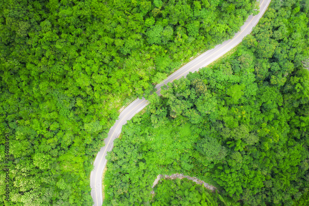 穿越美国东南部热带雨林和山区的乡村公路鸟瞰图