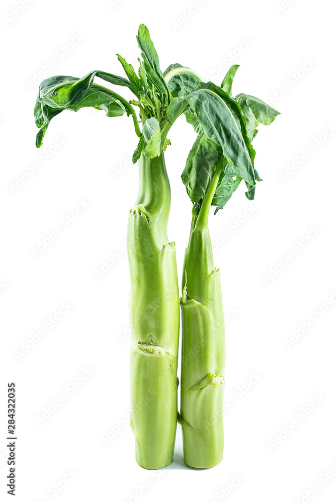 Fresh coarse kale sticks on white background