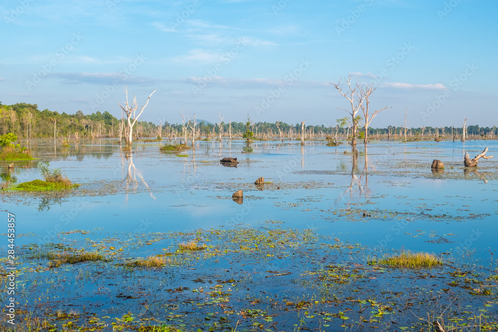 Scenery view of Baray (The largest man-made lake of the ancient Khmer civilization) in the area of N