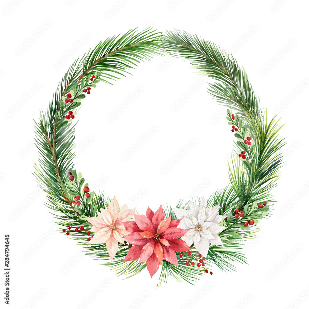 Watercolor vector Christmas wreath with fir branches and flowers of poinsettia.