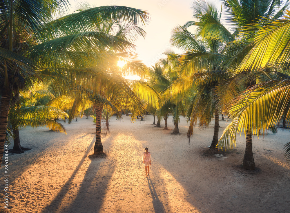 Beautiful young woman is walking in palm alley at sunset. Summer travel. Tropical landscape with sli