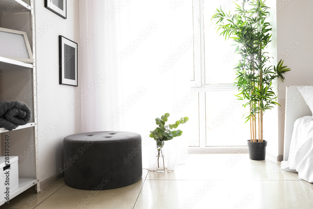 Green eucalyptus branches in vase in interior of room