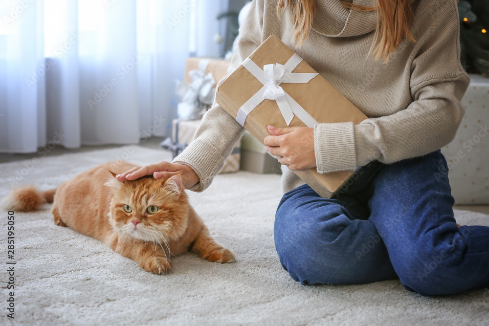 家里有圣诞礼物和可爱猫咪的女人