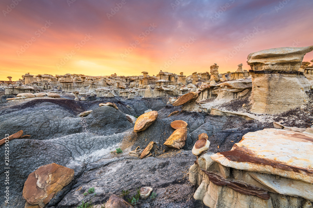 Bisti/De-Na-Zin Wilderness, New Mexico, USA