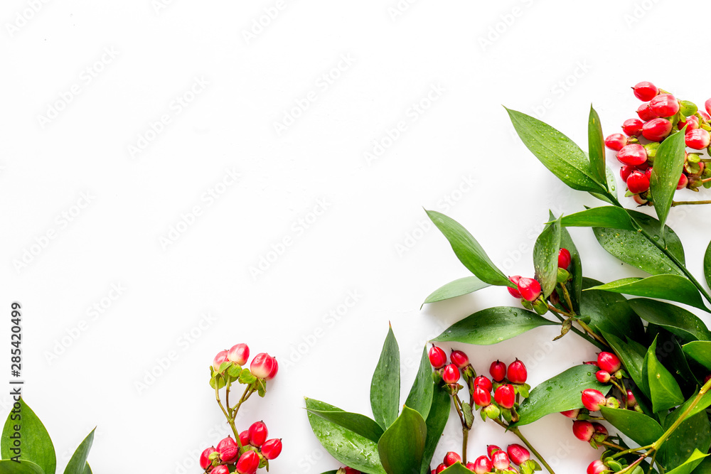 green herbs and red berries for summer design on white background top view mock up