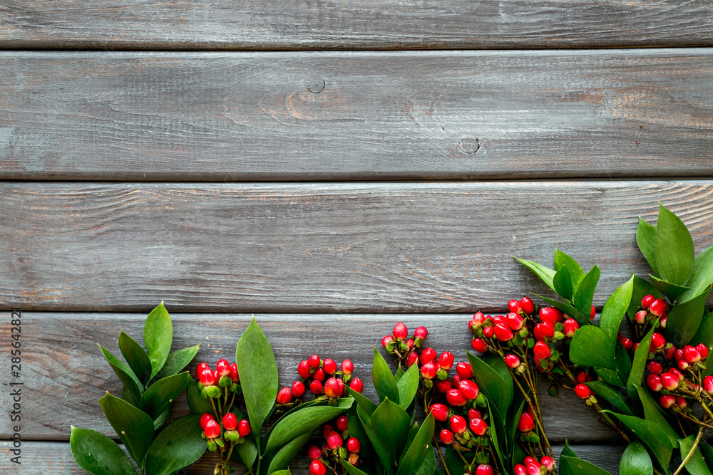 Background for blog with green plant and berries frame on wooden background top view space for text