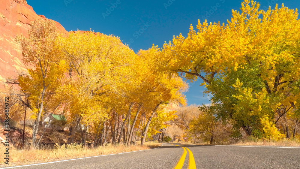 Black SUV car driving through autumn yellow trees tunnel in red rock canyon