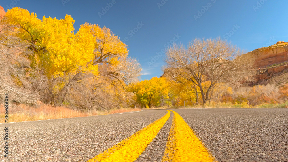 在秋高气爽的日子里，靠近穿过红色峡谷的黄色标线道路