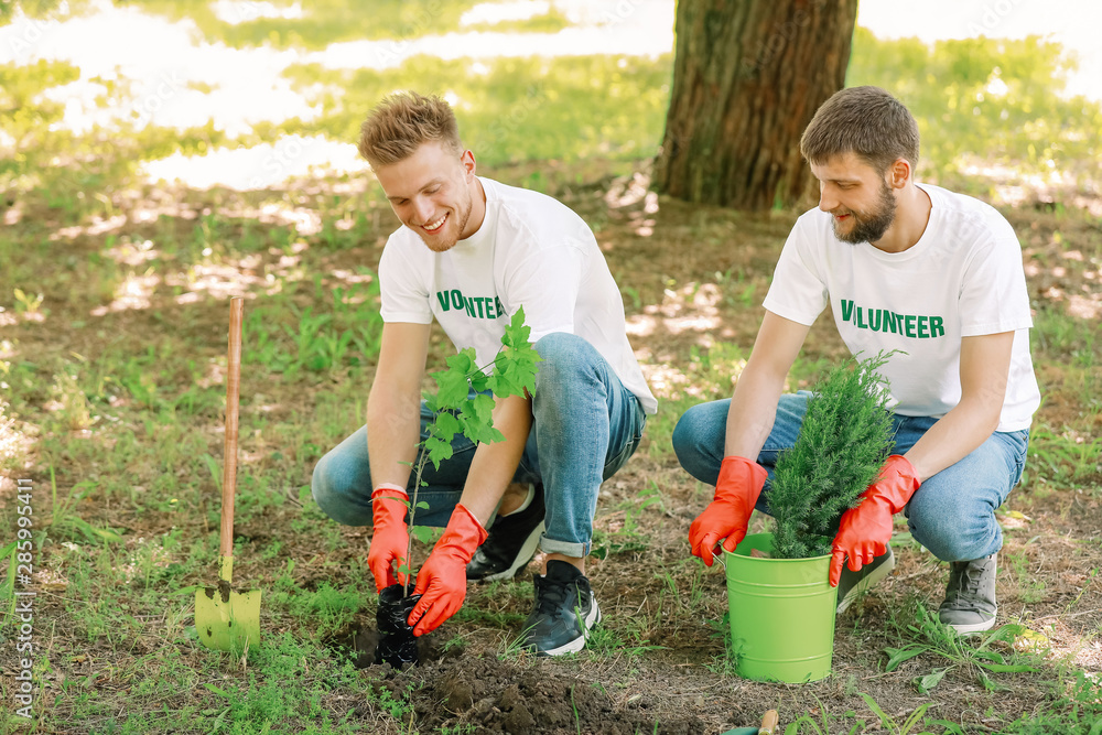 Volunteers planting tree in park