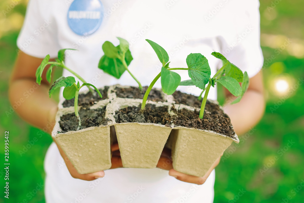 Little volunteer with young plants outdoors, closeup