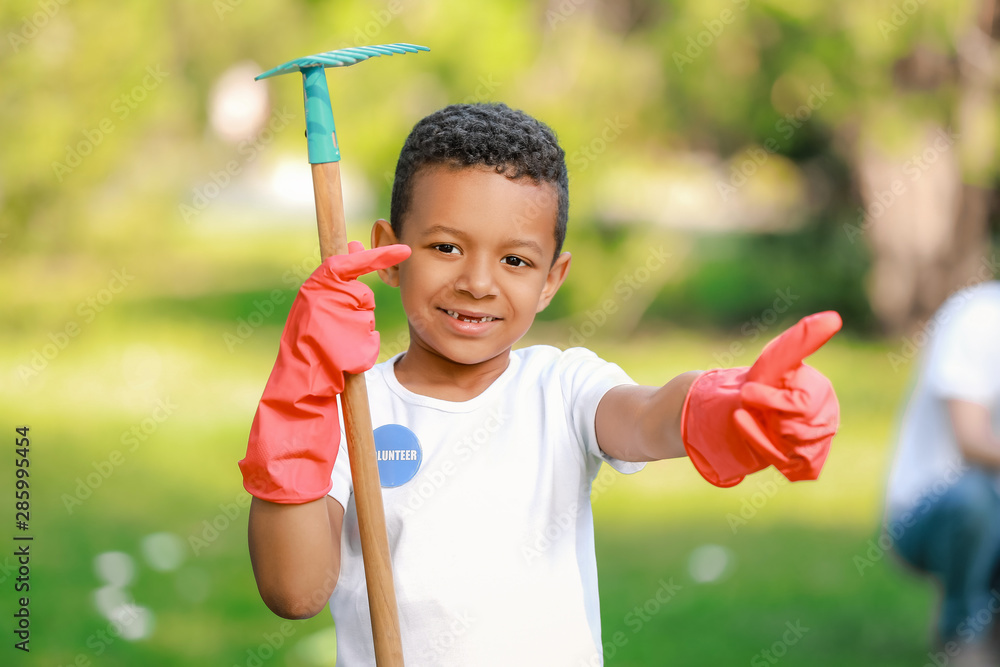 Little African-American volunteer with gardening rake in park