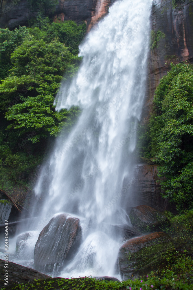 waterfall in forest