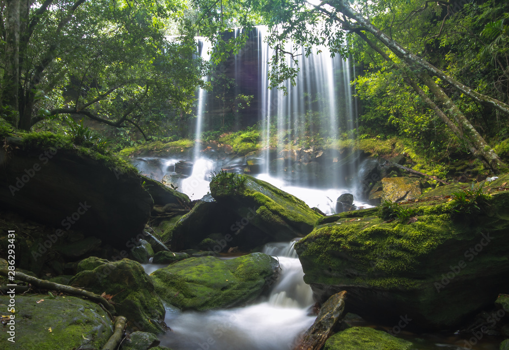 waterfall in the forest