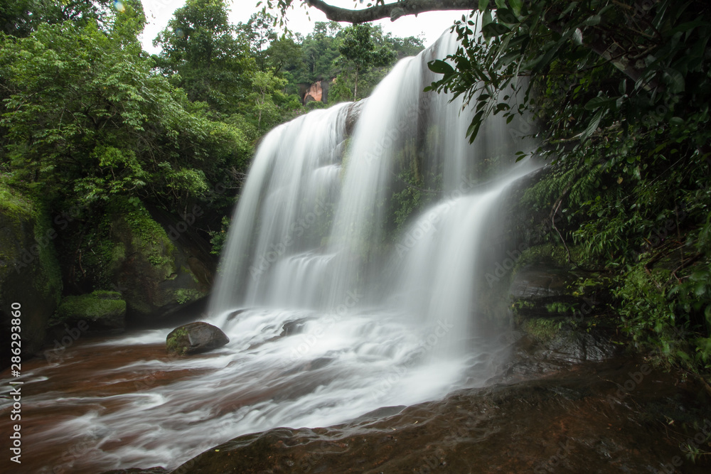 waterfall in forest