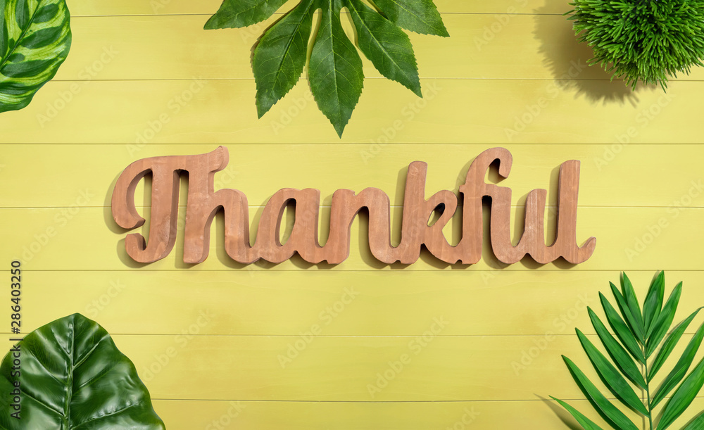 Thankful wooden text with green tropical leaves