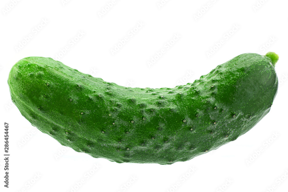 Cucumber vegetable