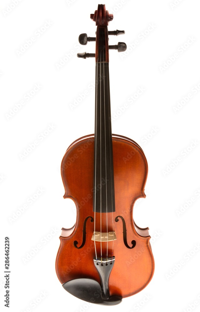 Violin.