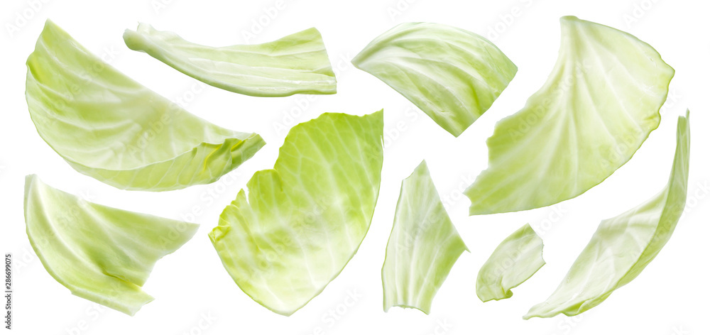 Sliced cabbage isolated on white background, top view