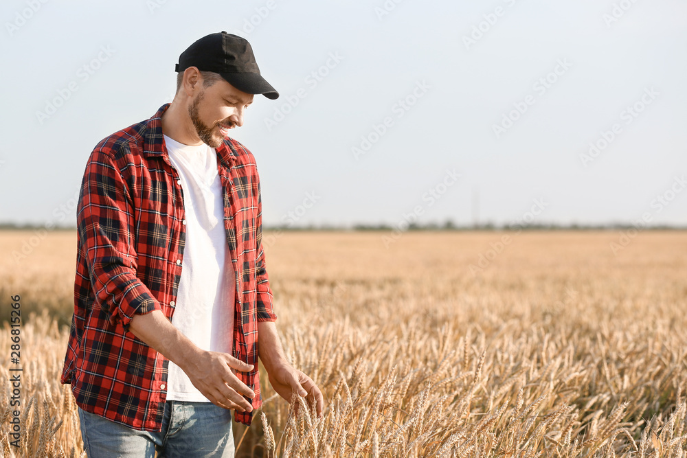 Farmer in field on sunny day