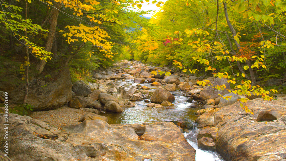 CLOSE UP: Mountain river splashing over rocks in gorgeous fall foliage forest