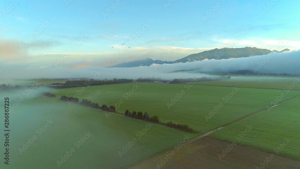 空中厚厚的雾在乡村山谷的广阔草地上蔓延